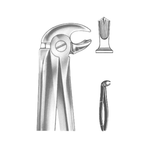 Extracting Forceps English Pattern